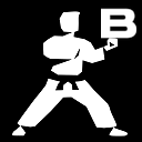 Boldt Karate Runner